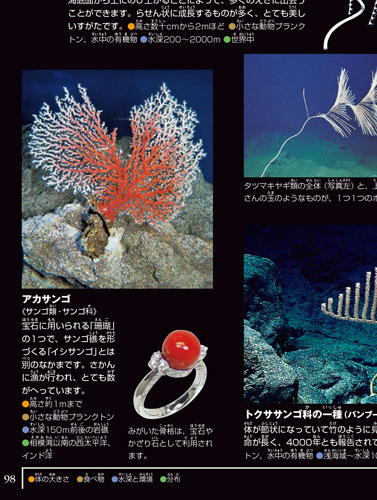 小学館の図鑑NEO深海生物 2021