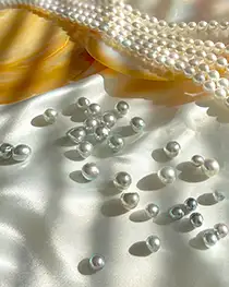 2026 パールフェア