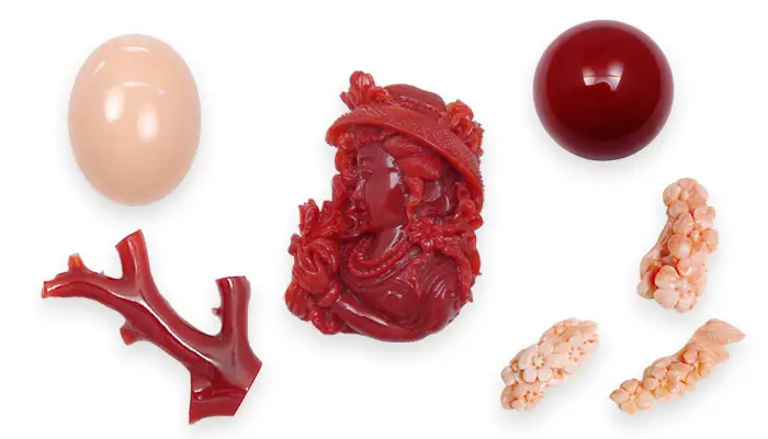 日本産サンゴとは？血赤サンゴ・ボケサンゴなど宝石サンゴの魅力