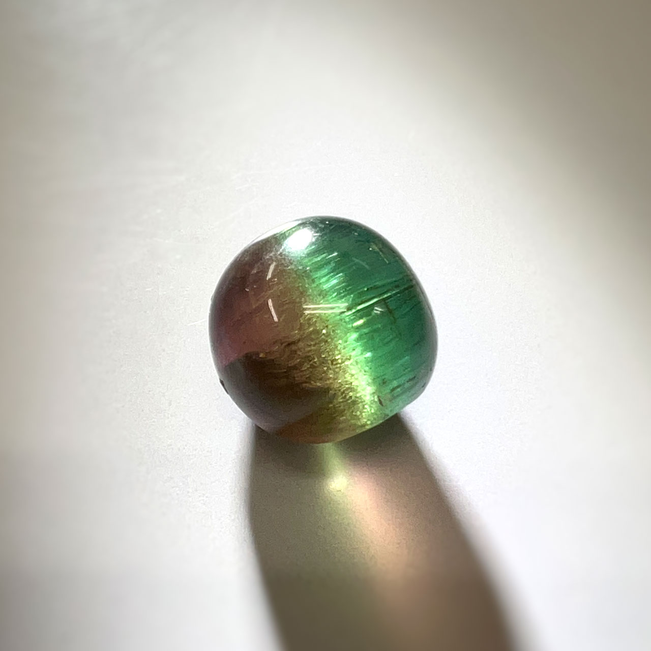 20240927tourmalinebicolor.jpg